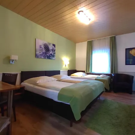 Smart-inn إرلانجن