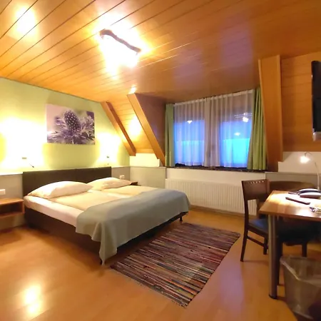 Smart-inn 3* إرلانجن