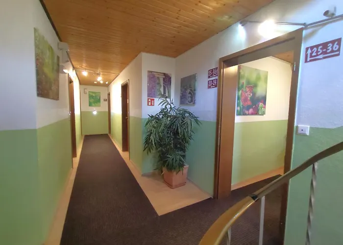 Smart-inn Hotel 3*
