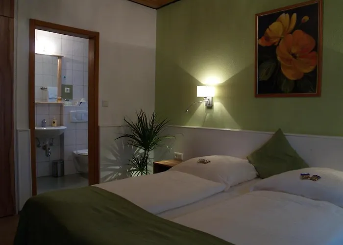 Smart-inn מלון ארלנגן